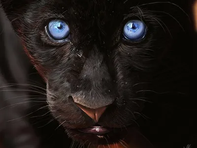 Черная пантера с зелеными глазами (25 фото) | Пантера, Черная пантера,  Кошачьи