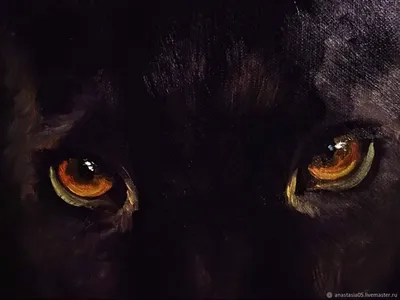 Глаза пантеры - 70 фото