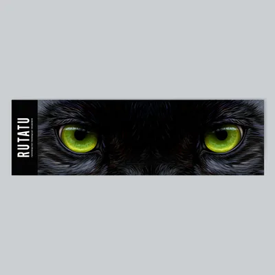 Ночные фото пантеры — красные глаза ) — Сообщество «Машины в Чёрном» на  DRIVE2