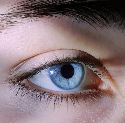 глаза #голубой #eyes #blue | Фотография глаза, Цвет глаз, Пинап модели