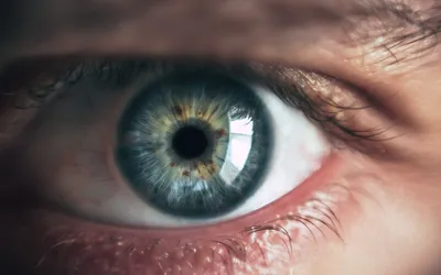 Ученые смогли по сетчатке глаза определить риск ранней смерти человека |  РБК Тренды
