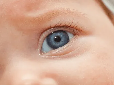 Какого цвета будут глаза у моего ребенка? - Иркутский городской  перинатальный центр