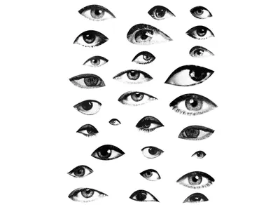 Почему у людей глаза разной формы? Описание, фото и видео - «Как и Почему»
