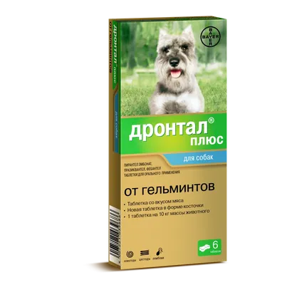 🥇1313 р. – Bayer Дронтал плюс таблетки от глистов со вкусом мяса для  щенков и собак, 6 таблеток купить в Калининграде с доставкой 🐈  Интернет-зоомагазин «КАТИКО»
