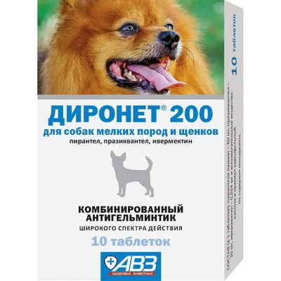 Таблетки от глистов для собаки мелкой породы (58 фото) - картинки  sobakovod.club