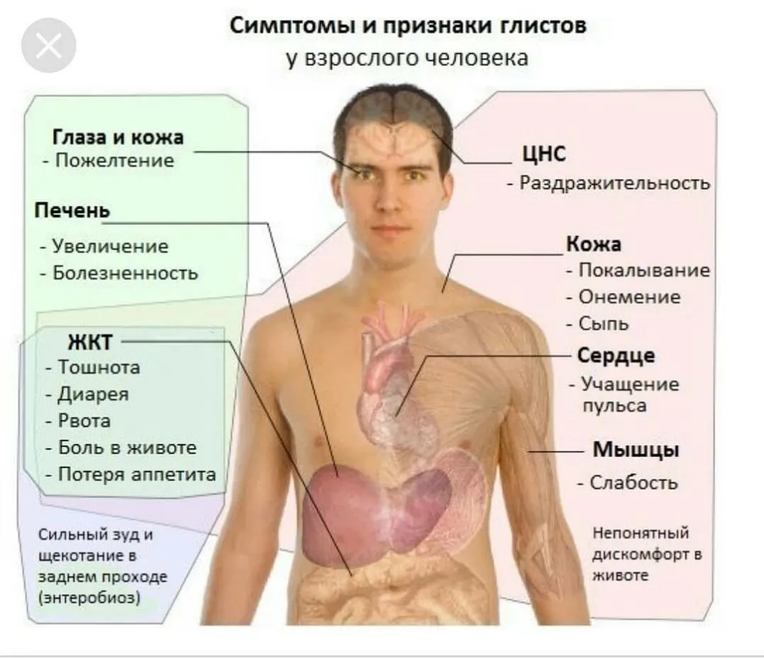 Симптомы паразитов