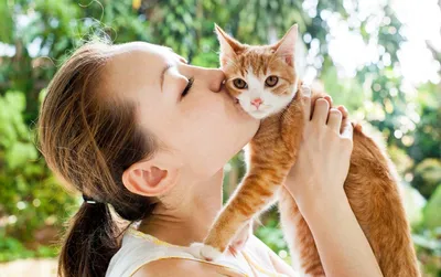 Заразны ли глисты у кошек человеку: симптомы заражения, может ли кошка  заразиться глистами от человека и наоборот
