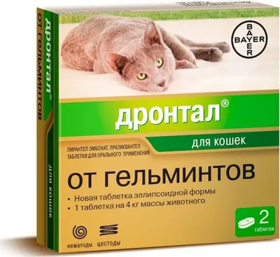 Купить препараты от глистов для животных в Южно-Сахалинске | Зоомагазин Наш  Бетховен