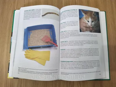 Купить Книга Ваша кошка. Полное практическое руководство. Медоуз Г., Флинт  Э., цена 350 грн — Prom.ua (ID#1552226187)