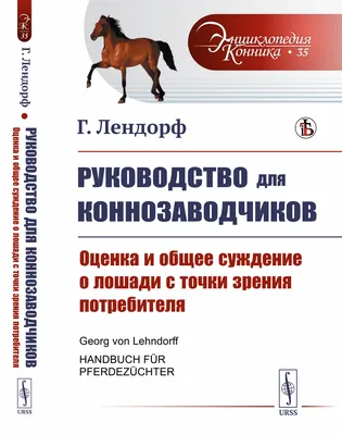 Распространённые заболевания лошадей и жеребят, их симптомы и способы  лечение