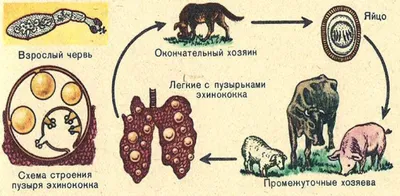 Создавая «царство миллионов червей», фермеры собирают миллиарды донгов в  год - Vietnam.vn