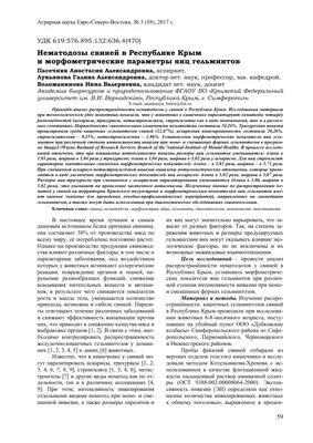 Главветврач: В Ганцевичском районе африканской чумы свиней нет. Есть  инфекция | Ганцавіцкі час