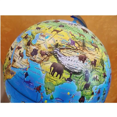Глобус Globen Зоогеографический детский с LED-подсветкой 21 см купить по  цене 1187 ₽ в интернет-магазине Детский мир