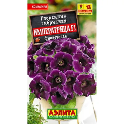 Глоксиния Императрица F1 фиолетовая из Семена комнатных растений 80руб.