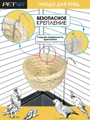 Домик гнездо для волнистых попугаев: 1 000 тг. - Зоотовары Каскелен на Olx