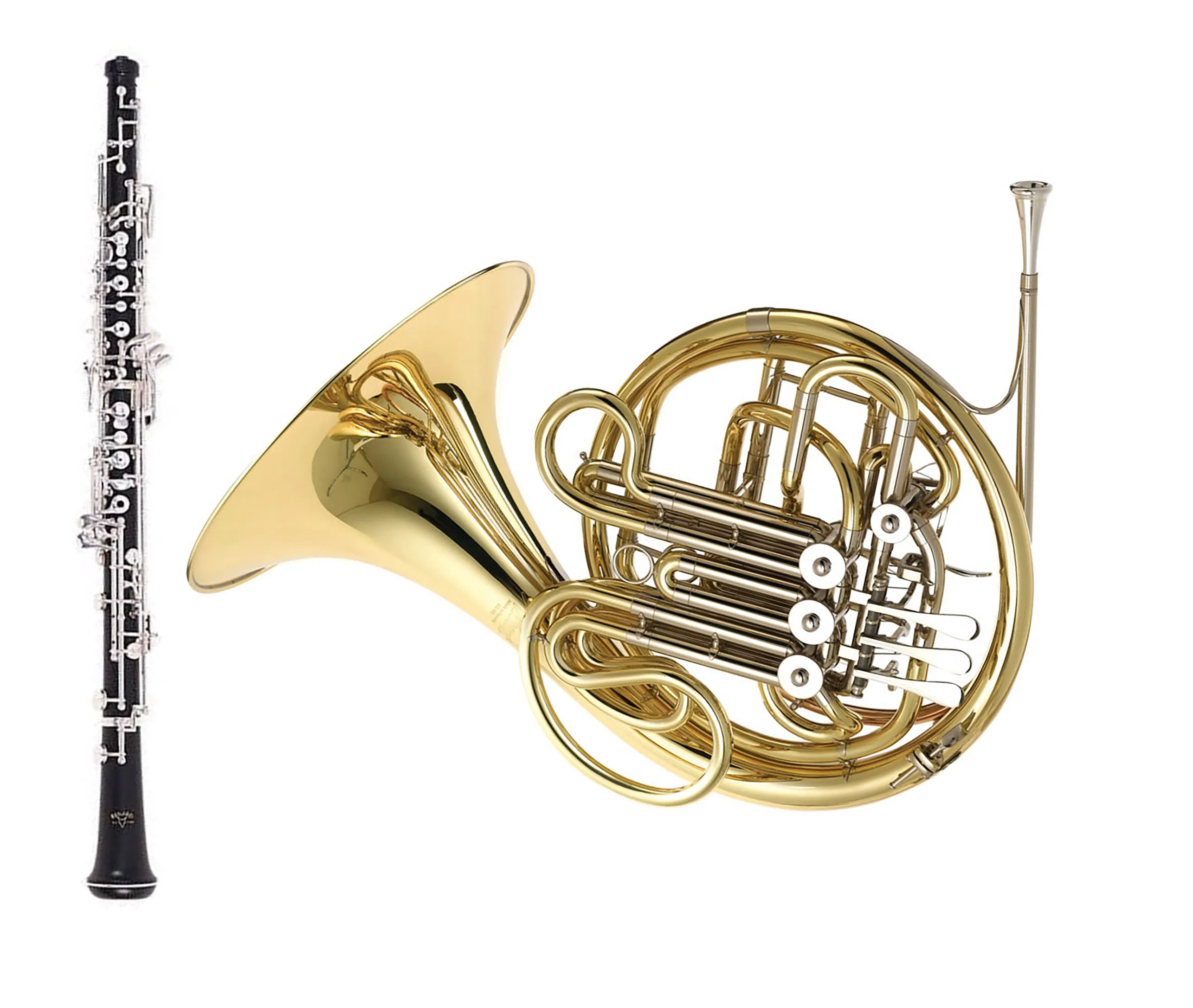 Кларнет альт. Валторна духовой музыкальный инструмент. French Horn музыкальный инструмент. Фагот и валторна. Валторна и гобой.