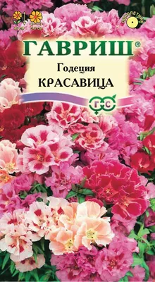 Годеция Красавица махровая смесь 0.3 г в Москве – купить по низкой цене в  интернет-магазине Леруа Мерлен