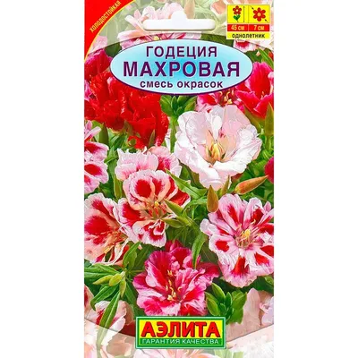Купить Годеция Махровая смесь недорого по цене 24руб.|Garden-zoo.ru