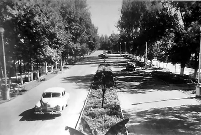 Улица Гоголя, фото 1955 года — Письма о Ташкенте
