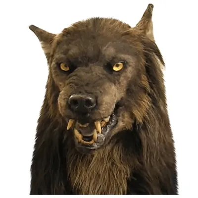 Black/Brown Plush Wolf Headdress Lifelike Werewolf Mask Cosplay Animal Mask  | eBay