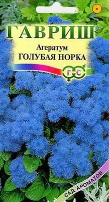 Шуба из канадской норки серо-голубая по цене - 23500 грн. в Киеве, Украине  | (741)