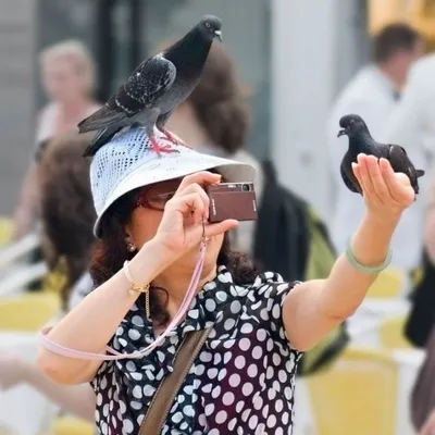 Фото Женщина фотографирует голубя, второй у нее на голове