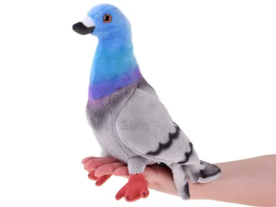 Плюшевая игрушка - голубь, 22 см цена | hansapost.ee