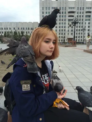 Борьбу с голубями на площади им. Ленина в Хабаровске начало правительство |  Poses, Pretty people, Funny images