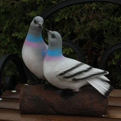Иранские голуби - картинки и фото poknok.art