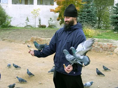 Длиннохвостый попугай монаха и голуби утеса Стоковое Изображение -  изображение насчитывающей пары, зеленый: 148861051