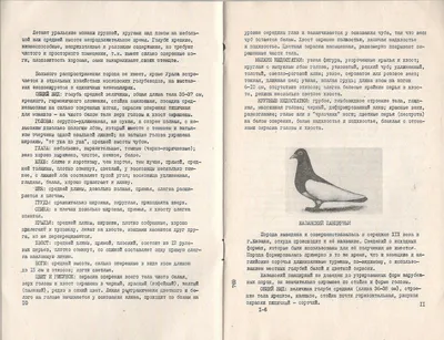 Сизый голубь – птица, которую можно встретить на всех континентах» —  создано в Шедевруме