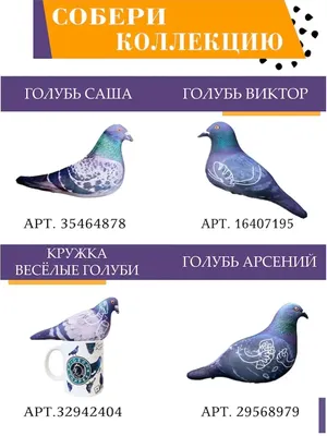 Все птицы в гости к нам: в Шымкенте прошла международная выставка голубей ᐈ  новость от 19:29, 05 августа 2023 на zakon.kz