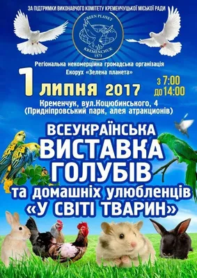 2014, Україна. Голуби України купить на | Аукціон для колекціонерів UNC.UA  UNC.UA