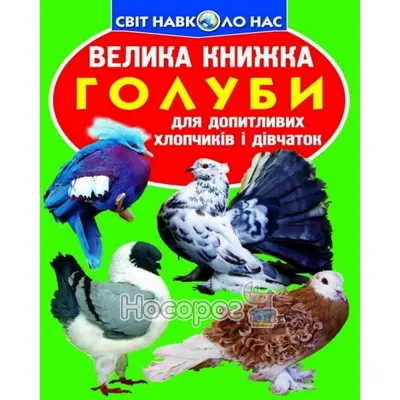 Пернатые и летающие: в Николаеве ярмарка декоративных птиц собрала  голубеводов со всей Украины | СВІДОК.info