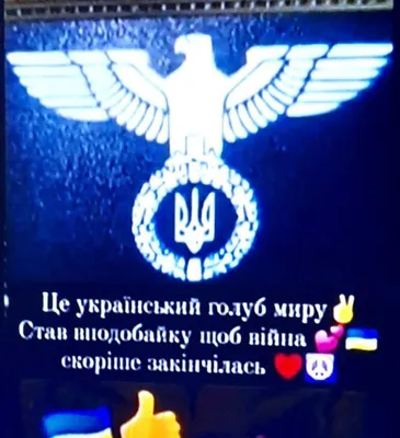 Как избавиться от голубей - самые простые способы | РБК Украина