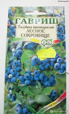 Голубика садовая (Vaccinium corymbosum) - «Голубика - выращивание семенами.  Хорошая идея или бесполезная трата времени и сил? Мой опыт выращивания:  ГАВРИШ Голубика высокорослая \