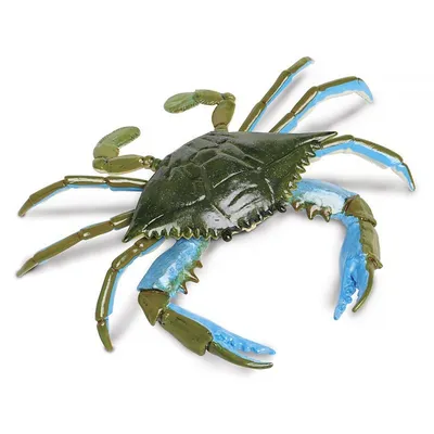Твердая модель морской жизни, Голубой краб, искусственная кожа, твердые  игрушки для подводных животных, подарок | AliExpress