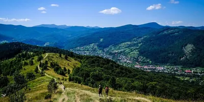 Гора Хомяк (1542 м), Татаров - туристический маршрут - GUIDE.KARPATY.UA