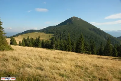 Гора Хомяк возле Татарова | Как добраться (маршруты), фото