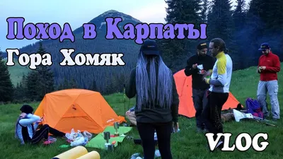 Поход на Хомяк и Синяк- в Горганы на выходные для новичков | MOUNT DAY