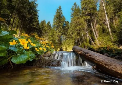 Гора Хомяк (Украина) - высота, фото, где находится, координаты на карте,  маршруты восхождения и интересные факты