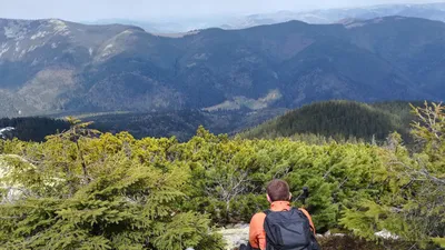 Поход на Хомяк и Синяк- в Горганы на выходные для новичков | MOUNT DAY