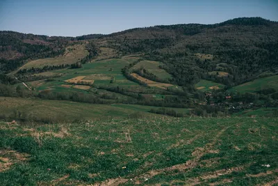 Гора Хомяк в Карпатах ⛰️: маршрут, легенда, фото, висота