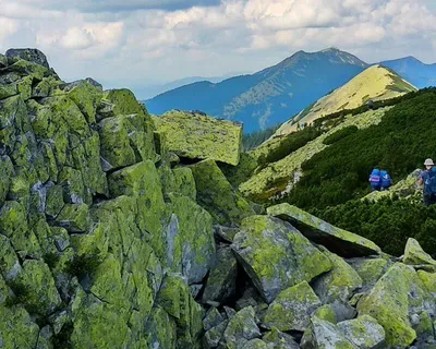 Гора Хомяк – Клуб туристов Кулуар 💚