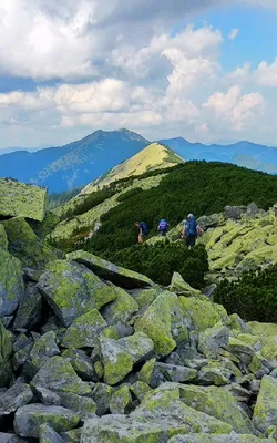 Гора Хомяк возле Татарова | Как добраться (маршруты), фото