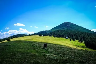 Поход на Хомяк и Синяк