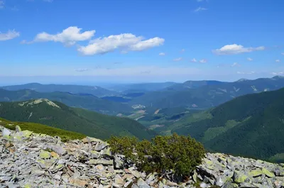 Фотоальбом Маршрут на Хомяк и Синяк | KARPATY.LIFE