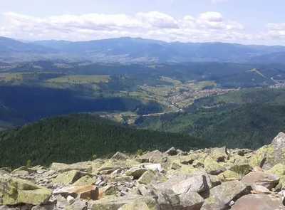 Хом'як, Синяк, Малий Горган, Женецький водоспад | МапаКосів