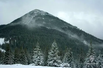 Поход на Хомяк и Синяк- в Горганы на выходные для новичков | MOUNT DAY