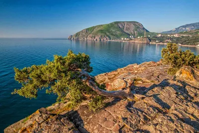 Медведь-гора Аю-Даг. Главная легенда Крыма | Мир в калейдоскопе | Дзен